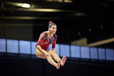 Gimnasia Artística
