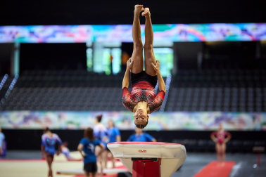 Gimnasia Artística