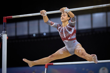 Gimnasia Artística