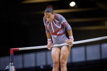 Gimnasia Artística