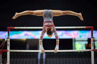 Gimnasia Artística
