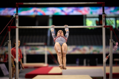 Gimnasia Artística