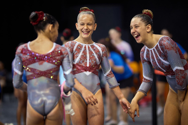 Gimnasia Artística