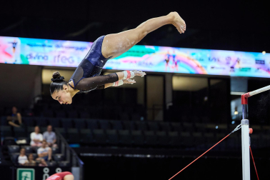 Gimnasia Artística