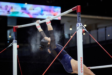 Gimnasia Artística
