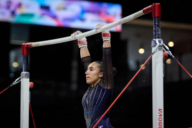 Gimnasia Artística