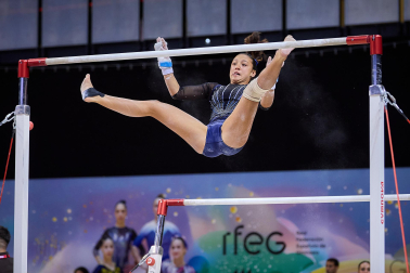 Gimnasia Artística