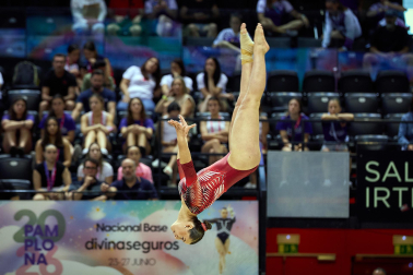 Gimnasia Artística