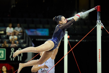 Gimnasia Artística