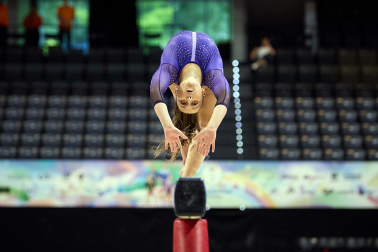 Gimnasia Artística