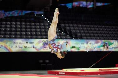 Gimnasia Artística