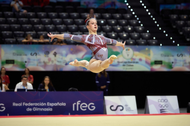 Gimnasia Artística