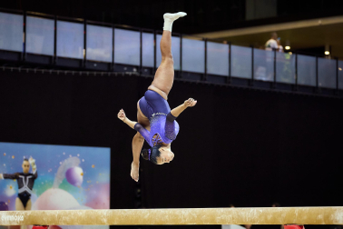 Gimnasia Artística