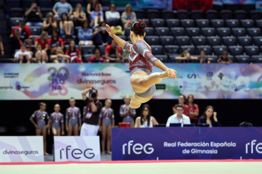 Gimnasia Artística