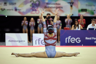 Gimnasia Artística