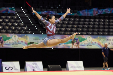 Gimnasia Artística