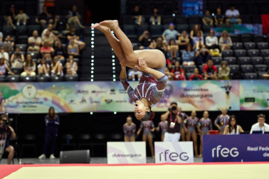 Gimnasia Artística