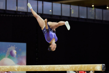 Gimnasia Artística