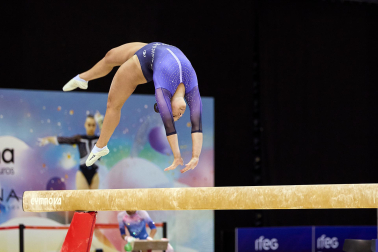Gimnasia Artística