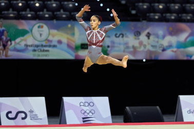 Gimnasia Artística