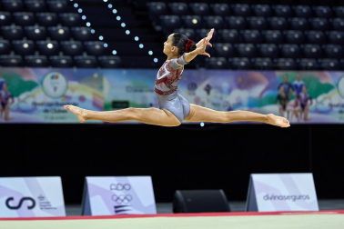 Gimnasia Artística
