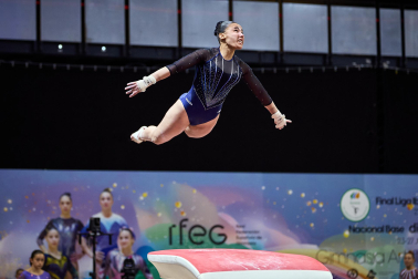 Gimnasia Artística