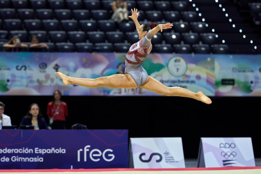 Gimnasia Artística
