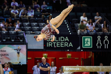 Gimnasia Artística