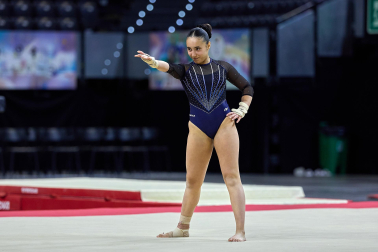 Gimnasia Artística