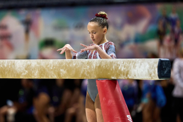 Gimnasia Artística