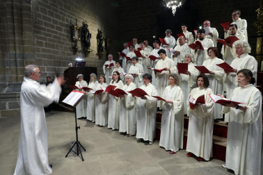 Fotos de la ordenación de tres sacerdotes y tres diáconos en la catedral de Pamplona