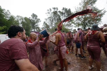 HARO (ESPAÑA), 29/06/2026.- Un grupo de personas participa este lunes en la batalla del Vino de Haro, Fiesta de Interés Turístico Nacional, en la que sus participantes se lanzan unos a otros litros de vino sin descanso en un impresionante espectáculo, que concluye al mediodía, y que en 2025, al ser domingo, congregó a cerca de 10.000 personas, que tiñeron de morado el paraje de los Riscos de Bilibio con unos 40.000 litros de vino. EFE/ Villar López