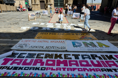 Foto de la manifestación de los activistas antitaurinos en Pamplona.