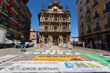 Foto de la manifestación de los activistas antitaurinos en Pamplona.