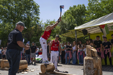 fiestas de Urdiain