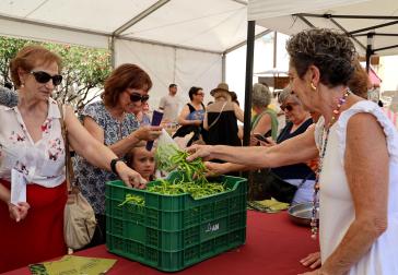 Fotos de la Fiesta de la Guindilla de Murillo el Fruto