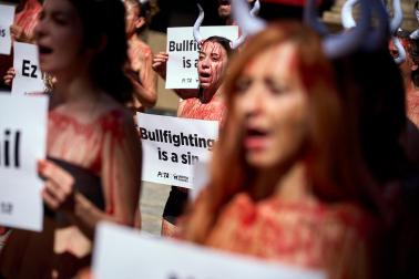 Concentración antitaurina de PETA Y AnimaNaturalis.