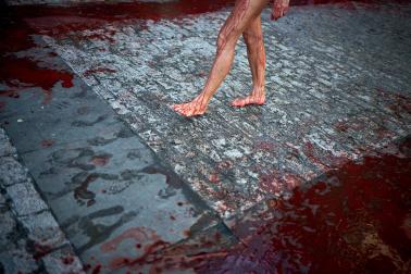 Concentración antitaurina de PETA Y AnimaNaturalis.