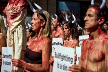 Concentración antitaurina de PETA Y AnimaNaturalis.