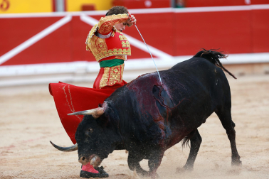 Fotos de la novillada de la Feria del Toro