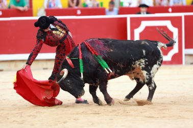 Fotos de la novillada de la Feria del Toro