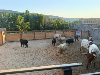 Silencio en los corrales con los Fuente Ymbro