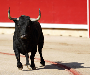 Fotos de la corrida del 7 de julio de la Feria del Toro 2026 con morlacos de Fuente Ymbro para los diestros Daniel Luque, Víctor Hernández y Aarón Palacio