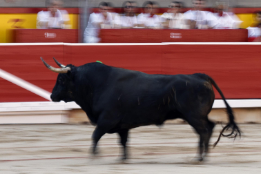 Fotos de la corrida del 7 de julio de la Feria del Toro 2026 con morlacos de Fuente Ymbro para los diestros Daniel Luque, Víctor Hernández y Aarón Palacio