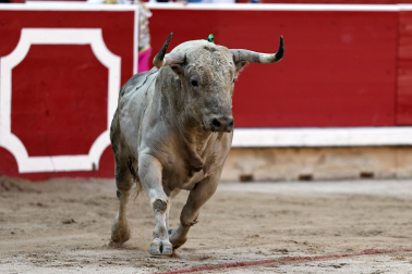 Fotos de la corrida del 7 de julio de la Feria del Toro 2026 con morlacos de Fuente Ymbro para los diestros Daniel Luque, Víctor Hernández y Aarón Palacio