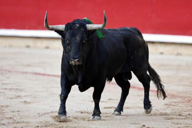 Fotos de la corrida del 7 de julio de la Feria del Toro 2026 con morlacos de Fuente Ymbro para los diestros Daniel Luque, Víctor Hernández y Aarón Palacio