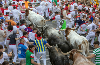 Segundo encierro de San Fermín 2026 con toros de Cebada Gago en la calle Estafeta.