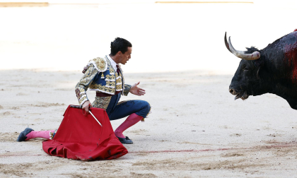 Fotos de la corrida del 8 de julio de la Feria del Toro 2026 con toros de la ganadería Cebada Gago para los diestros David Galván, Román y Manuel Diosleguarde
