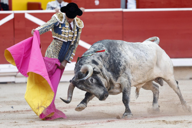 Fotos de la corrida del 8 de julio de la Feria del Toro 2026 con toros de la ganadería Cebada Gago para los diestros David Galván, Román y Manuel Diosleguarde