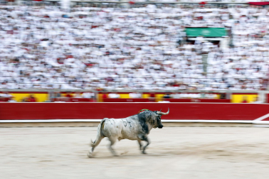 Fotos de la corrida del 8 de julio de la Feria del Toro 2026 con toros de la ganadería Cebada Gago para los diestros David Galván, Román y Manuel Diosleguarde